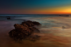 MG_8556-1